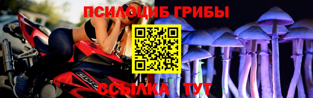 Новоуральск  Псилоцибиновые грибы GOLDEN TEACHER  наркотики  Вход с VPN 